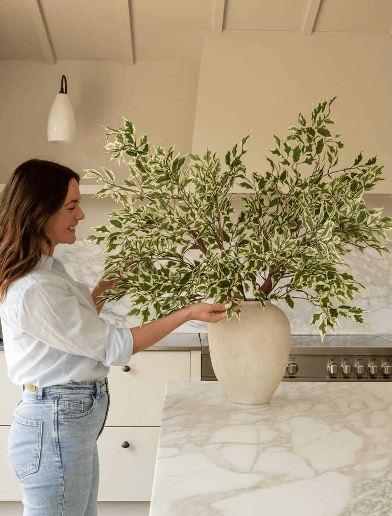 Faux Oversized Ficus Anastasia Branch (2 Branches)