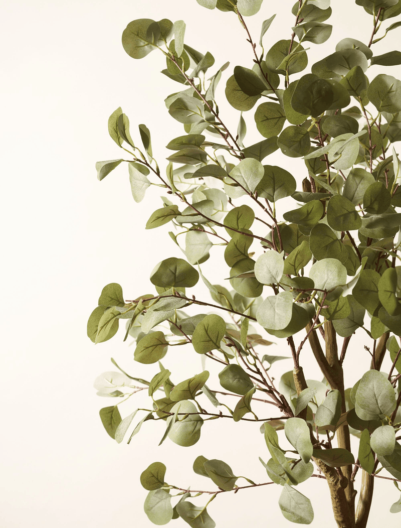 Faux Eucalyptus Tree 160cm / 5ft 2"