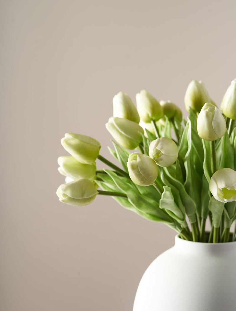 Tulipán sintético - Verde (25 tallos)