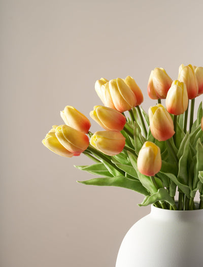Tulipán sintético - Amanecer (25 tallos)