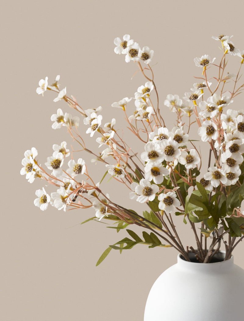 Faux Wax Flower - White (10 Stems)