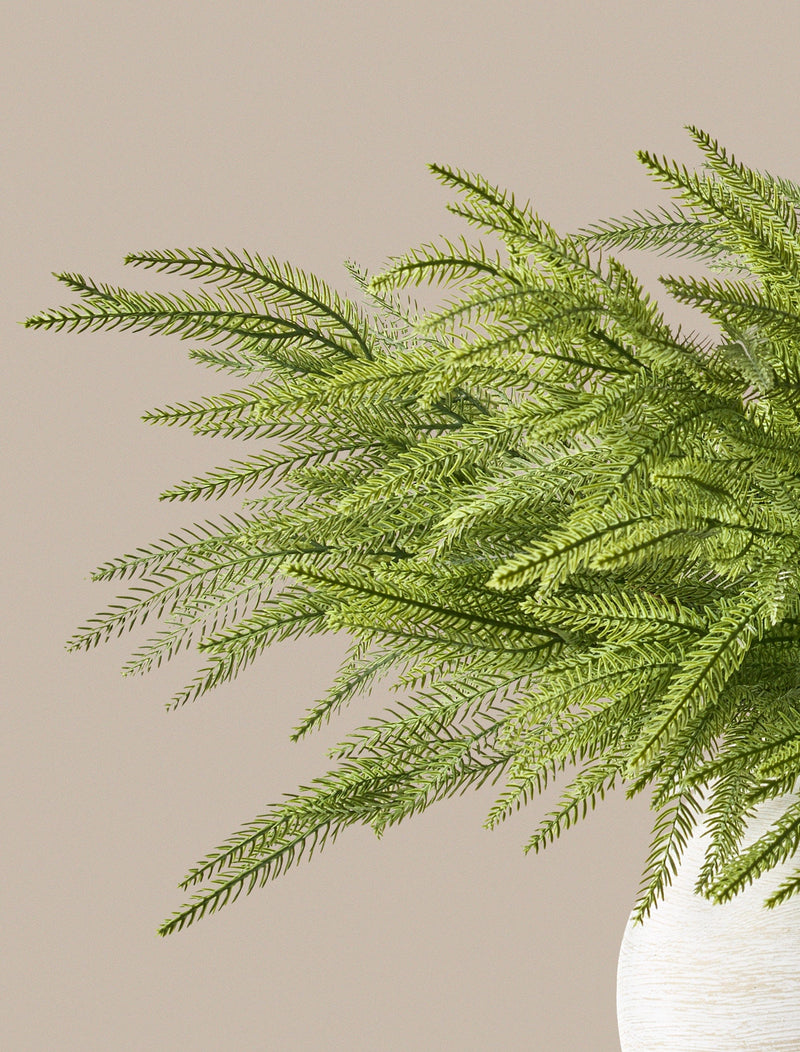 Faux Arrangement - Norfolk Pine Stems