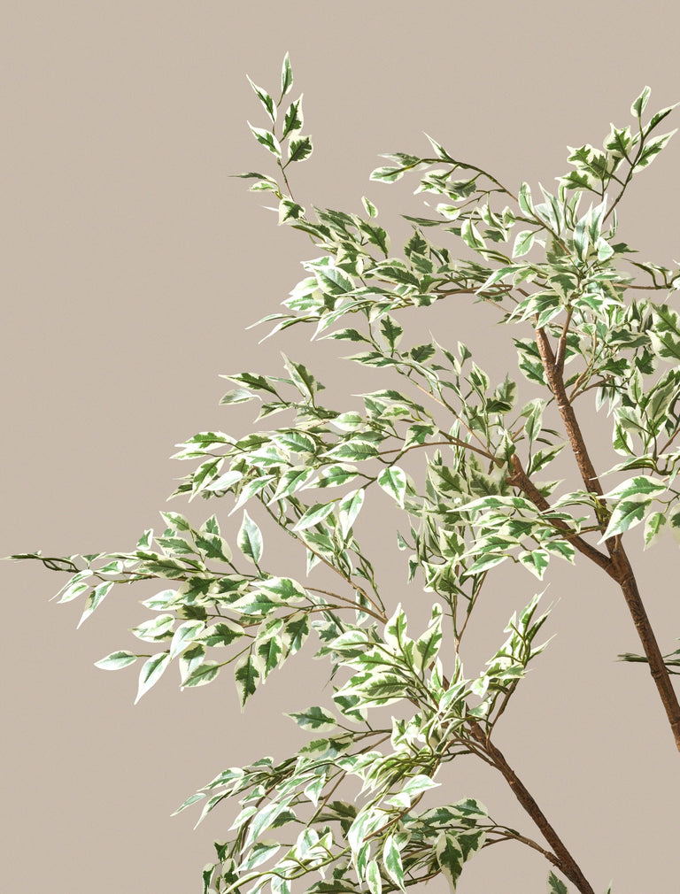 Faux Fiscus Anastasia Tree