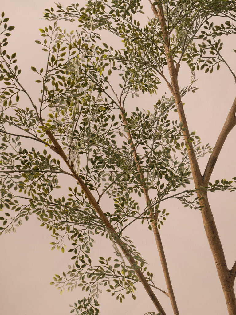 Faux Ruscus Tree (Indoor or Outdoor)