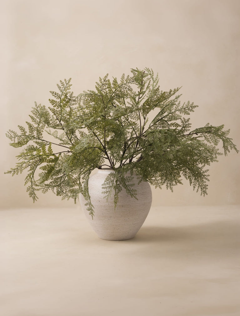 Faux Arrangement - Winter Fern Stems (5 Stems)