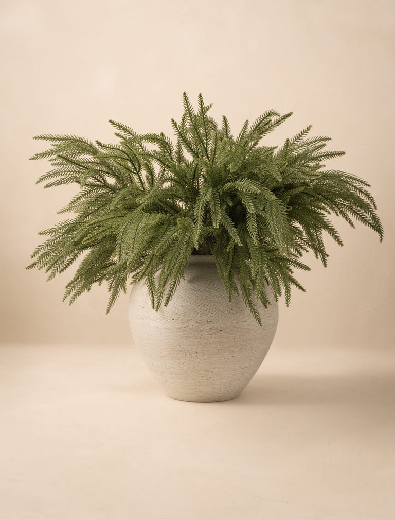 Faux Norfolk Pine (5 Stems)