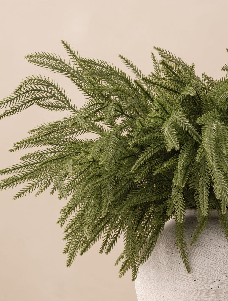 Faux Norfolk Pine (5 Stems)