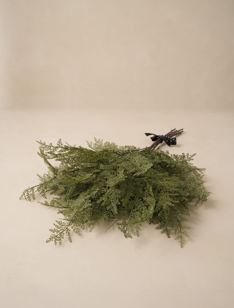 Faux Arrangement - Winter Fern Stems (5 Stems)