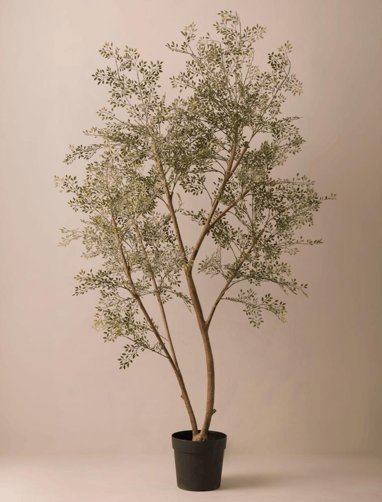 Faux Ruscus Tree (Indoor or Outdoor)